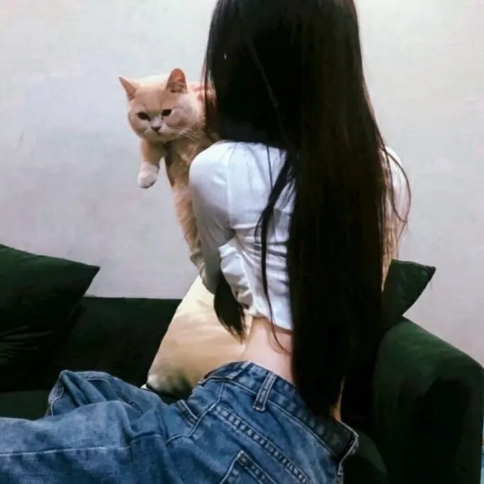 会飞的小精灵